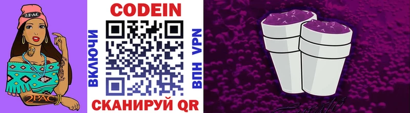 мега ссылки  купить  цена  Шенкурск  Codein Purple Drank 