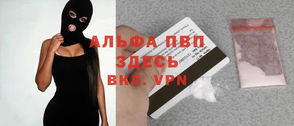 сатива Волоколамск