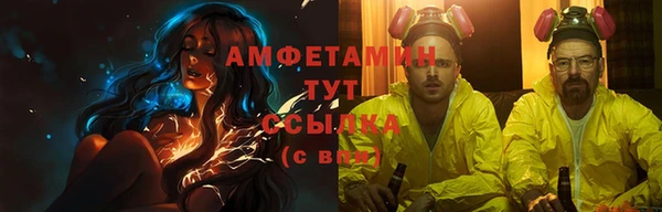 сатива Волоколамск