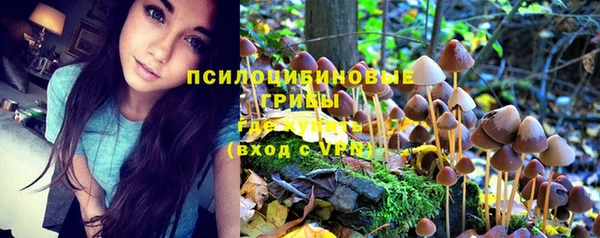 сатива Волоколамск