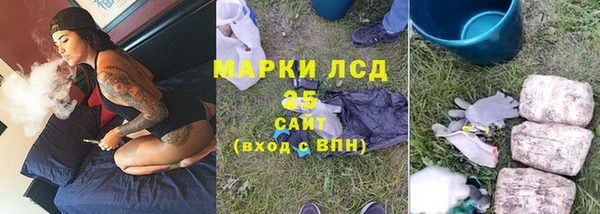 сатива Волоколамск