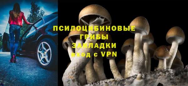 трава Вязьма