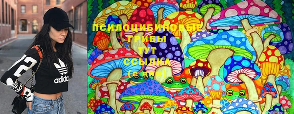 сатива Волоколамск