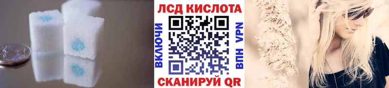 LSD-25 экстази кислота  где купить наркоту  Шенкурск 