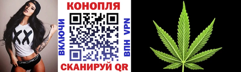 как найти   Шенкурск  Шишки марихуана Amnesia 